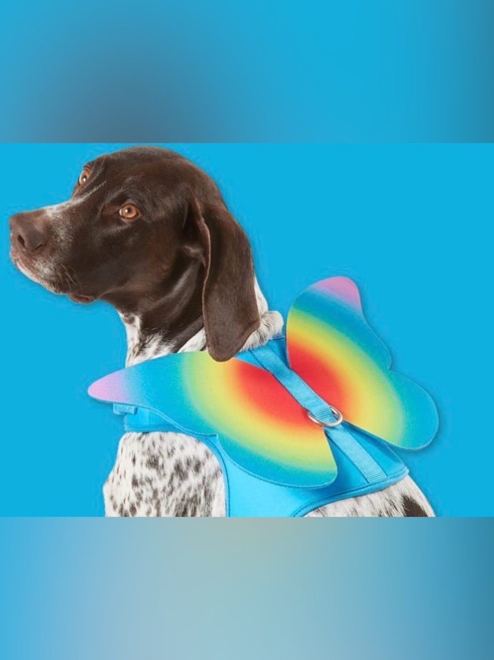Top Paw Pride Rainbow Butterfly Wings Dog Harness Size Small Blue